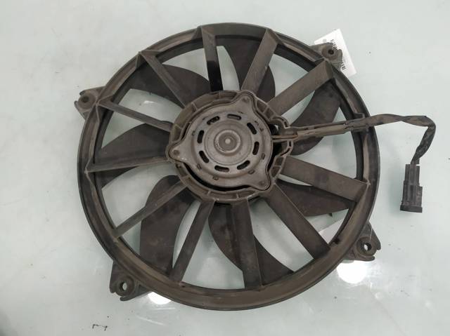 1253A9 Peugeot/Citroen