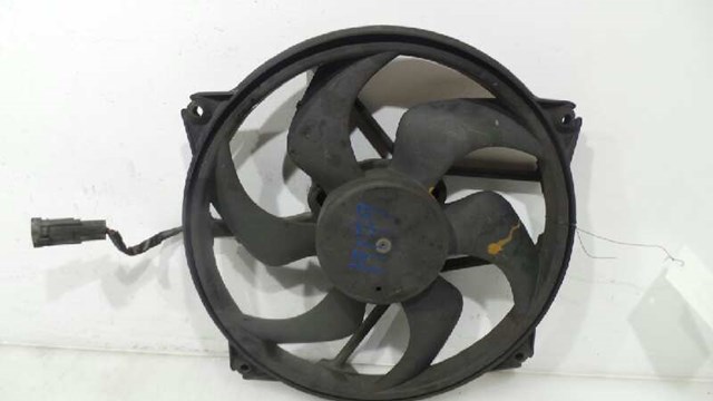 1253C0 Peugeot/Citroen