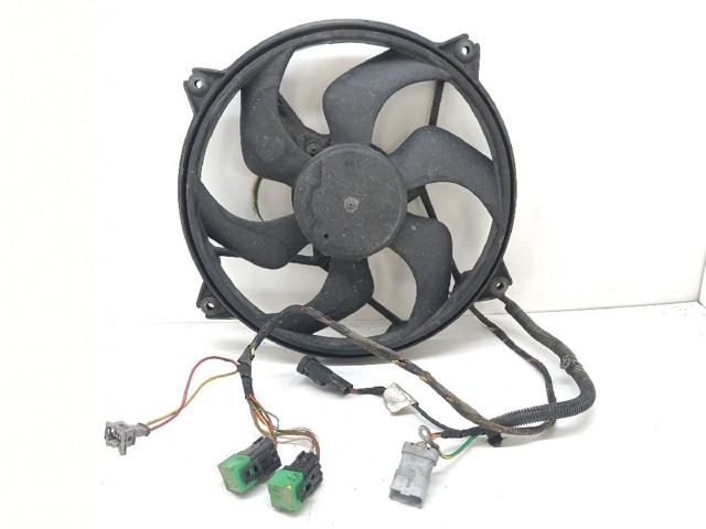 1253C8 Peugeot/Citroen