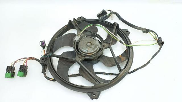 1253C8 Peugeot/Citroen