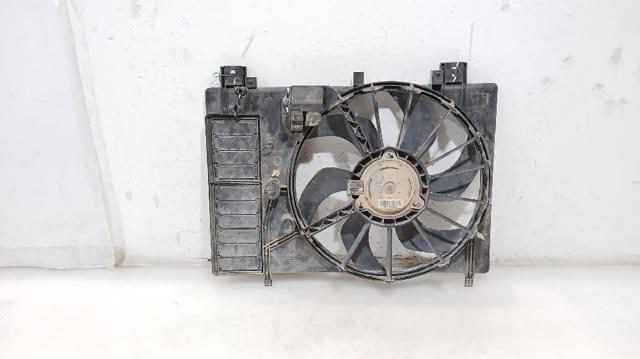 1253R4 Peugeot/Citroen
