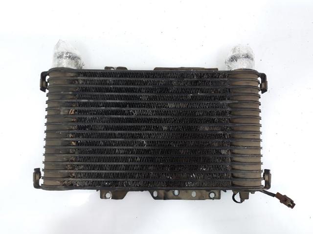 Chłodnica intercoolera 1271000421 MITSUBISHI