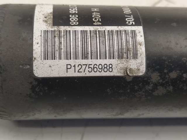 Amortyzator tylny 12756988 GM