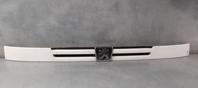 1304863080 Peugeot/Citroen