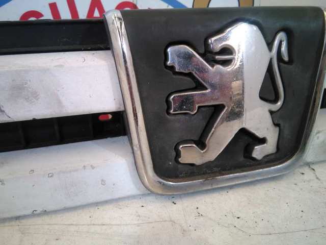 1304863080 Peugeot/Citroen