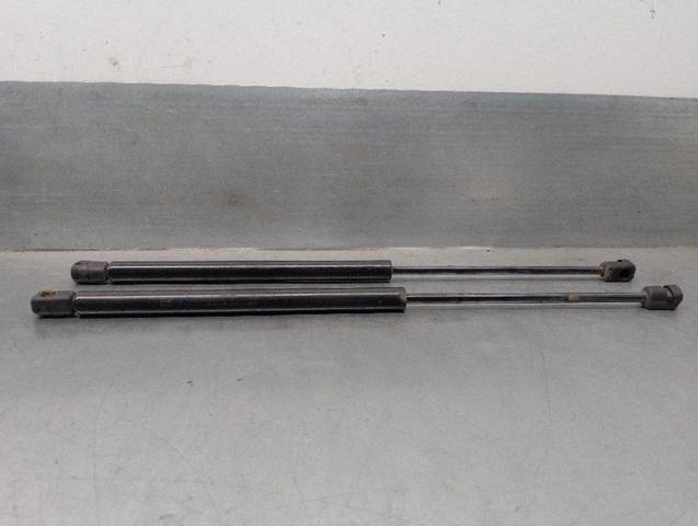 1313218 Ford