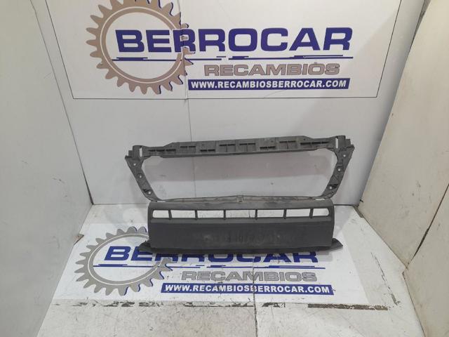 1315077070 Peugeot/Citroen
