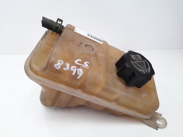 132384 Peugeot/Citroen