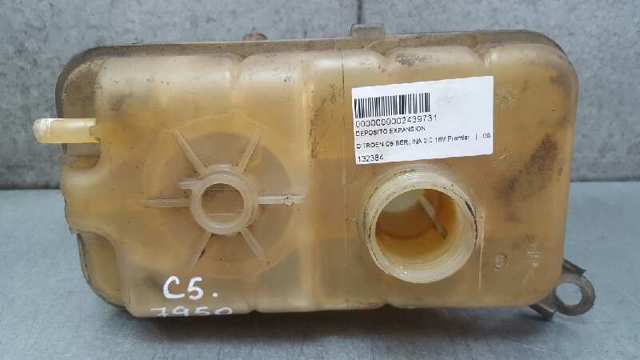 132384 Peugeot/Citroen