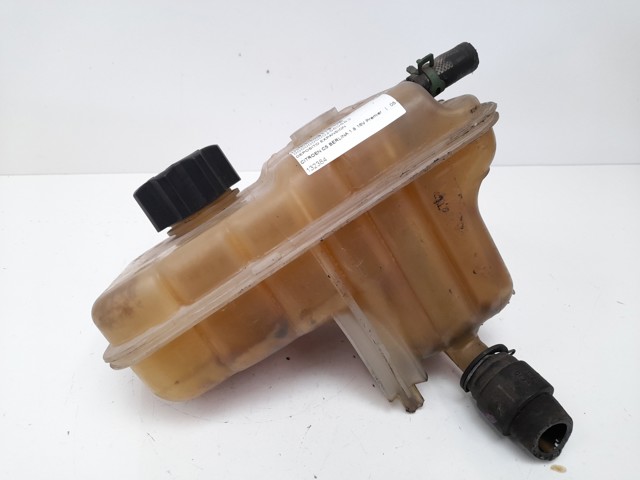 132384 Peugeot/Citroen