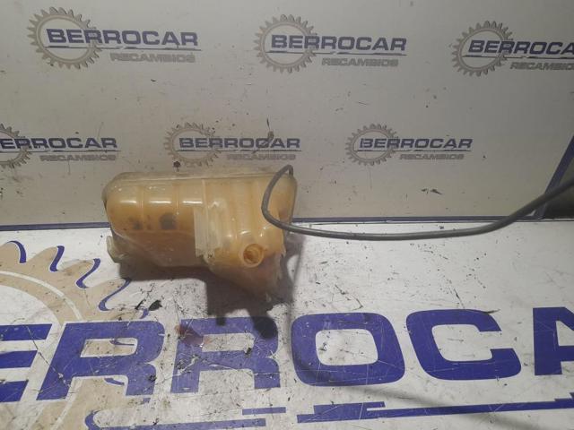 1323V1 Peugeot/Citroen