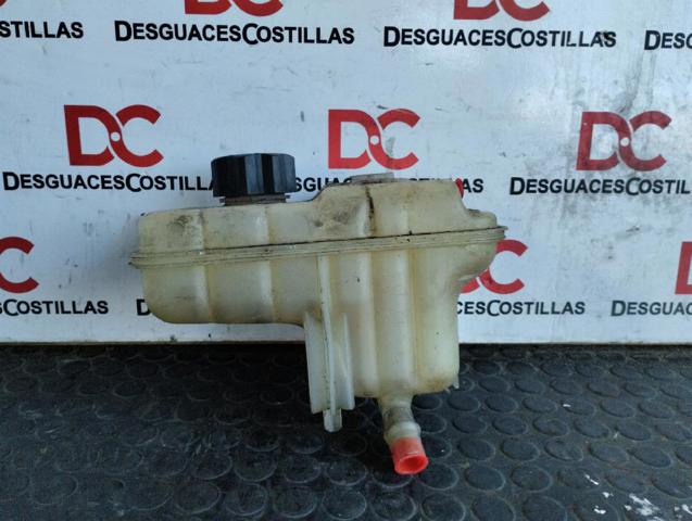 Zbiorniczek wyrównawczy układu chłodzenia 1323V1 PEUGEOT