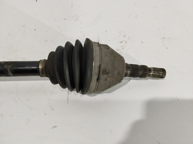 13245911 Opel