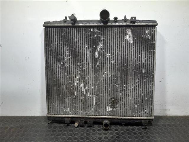 1330E7 Peugeot/Citroen