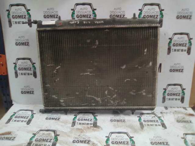 1330F4 Peugeot/Citroen