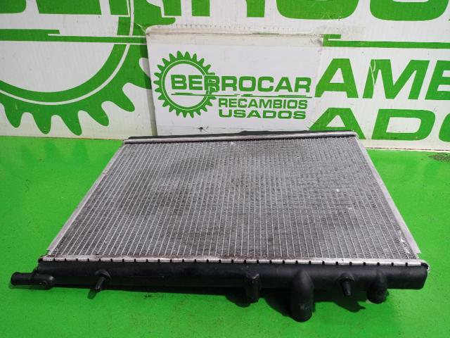 1330G2 Peugeot/Citroen