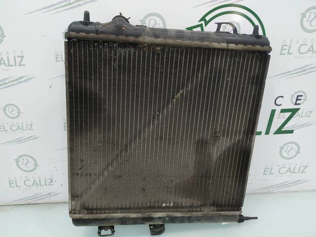 1330W8 Peugeot/Citroen