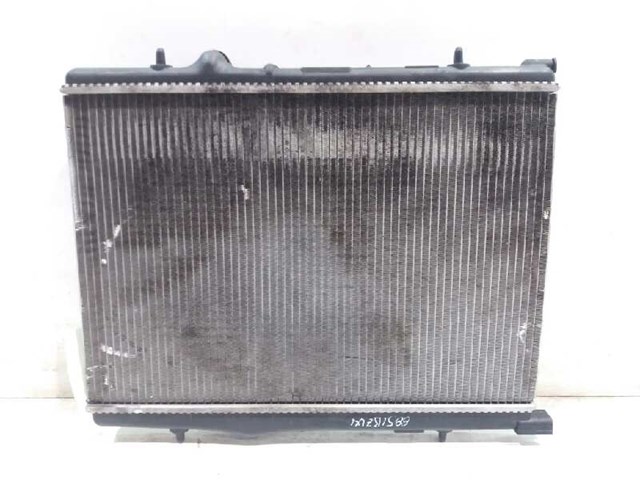 1330Y6 Peugeot/Citroen