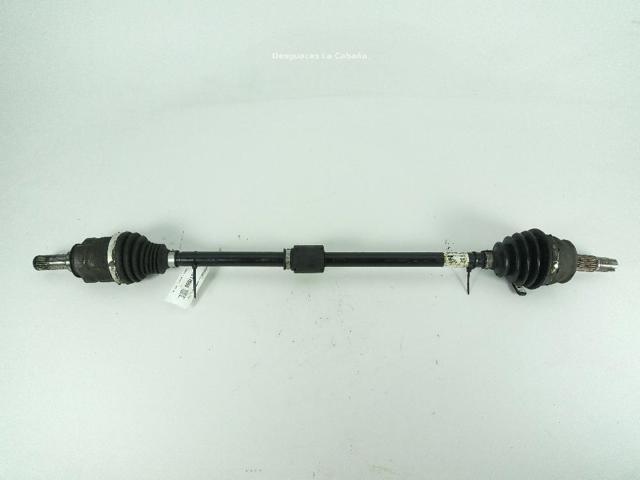 13320254 Opel