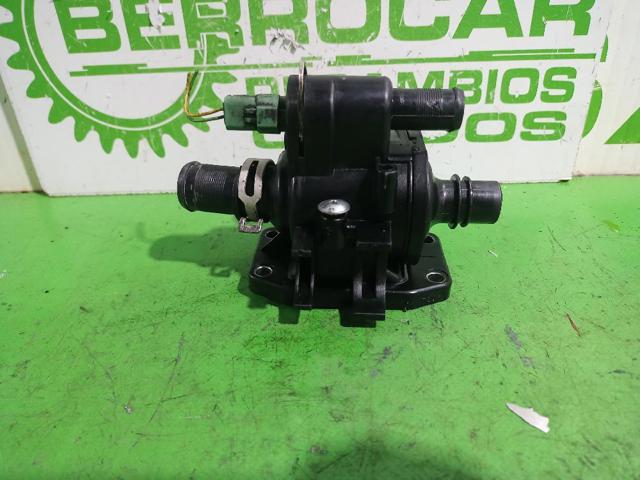 1336V6 Peugeot/Citroen