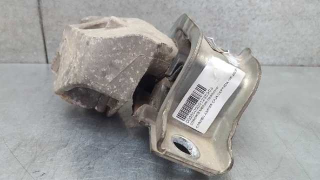 1358086080 Peugeot/Citroen