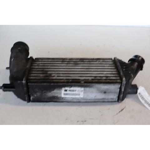 1440010980 Peugeot/Citroen