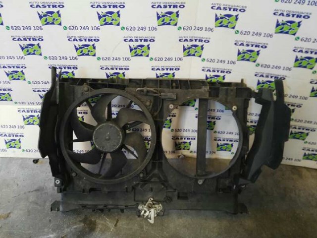 1440107980 Peugeot/Citroen