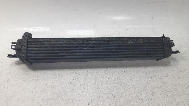 144960001R Renault (RVI)