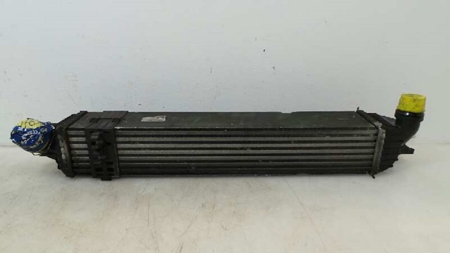 144960001R Renault (RVI)