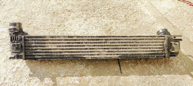 144960022R Renault (RVI)