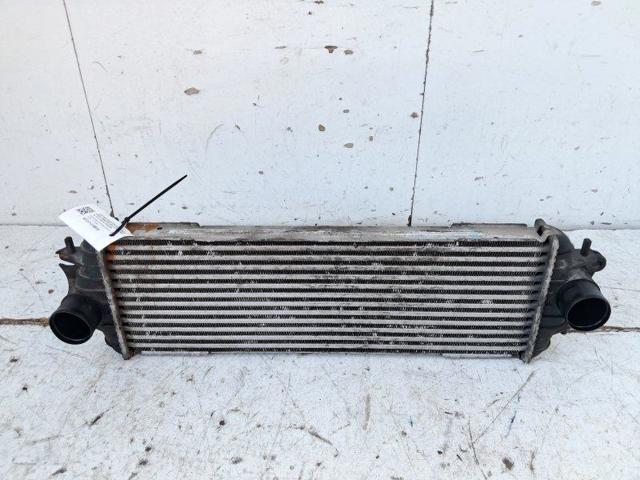 1449600QAA Nissan/Infiniti