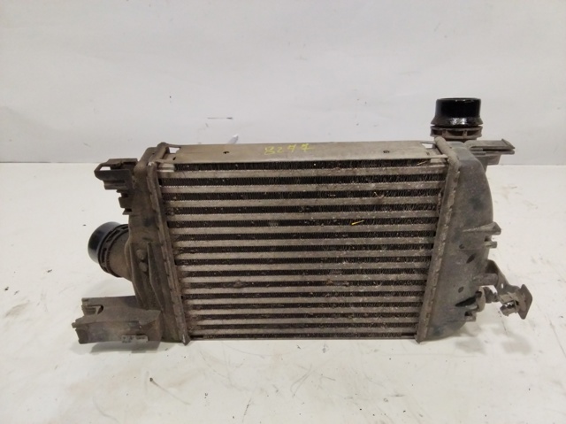 144961381R Renault (RVI)