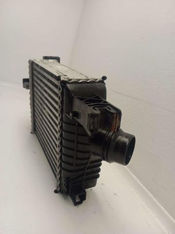 144961381R Renault (RVI)