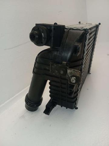 144961381R Renault (RVI)