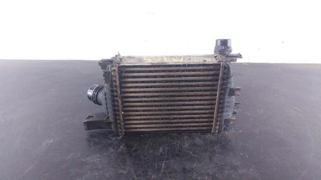 144961381R Renault (RVI)