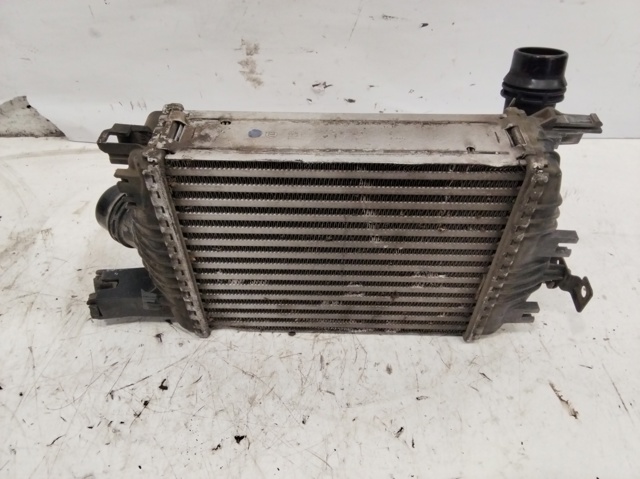 144961381R Renault (RVI)