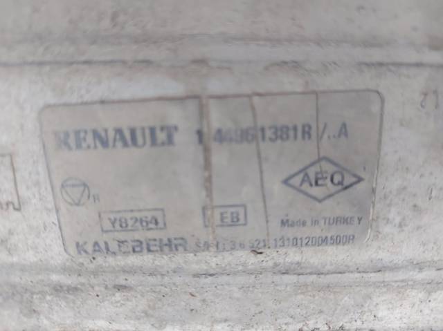 144961381R Renault (RVI)