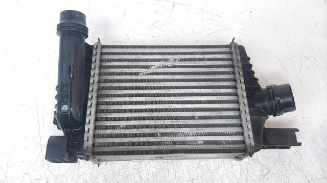 144961381R Renault (RVI)