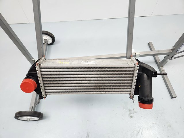 144963234R Renault (RVI)