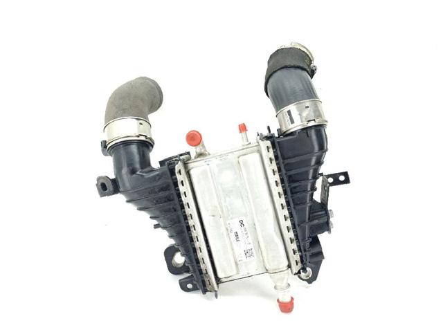 144967867R Renault (RVI)