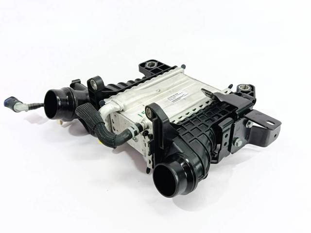 144967867R Renault (RVI)