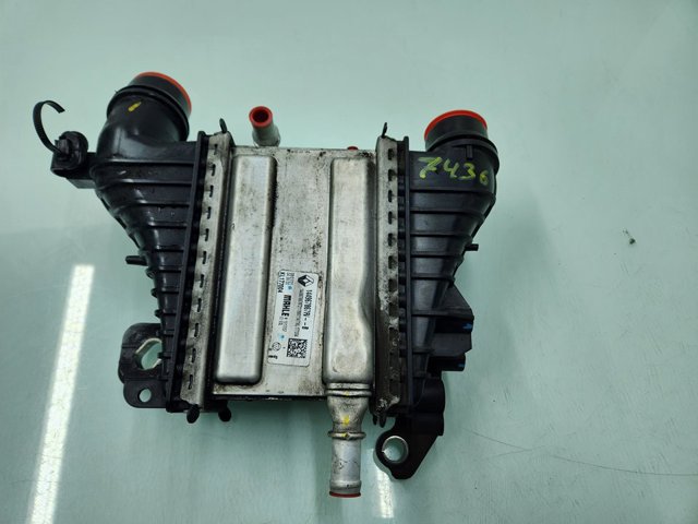 144967867R Renault (RVI)