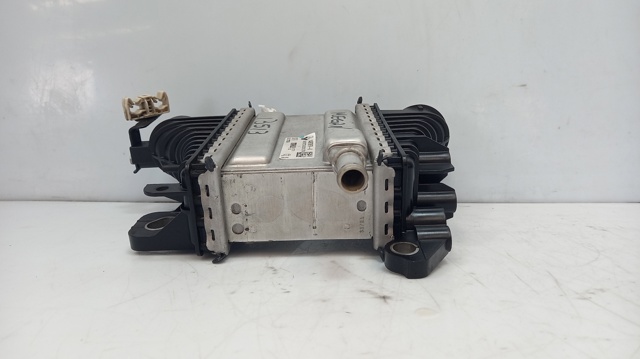 144967867R Renault (RVI)