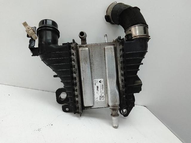 144967867R Renault (RVI)