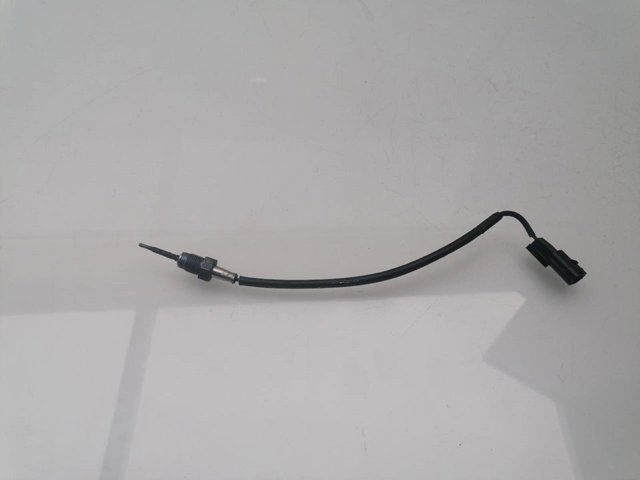 Czujnik temperatury spalin, zaworu EGR 1473000QAA NISSAN