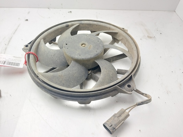 1494742080 Peugeot/Citroen