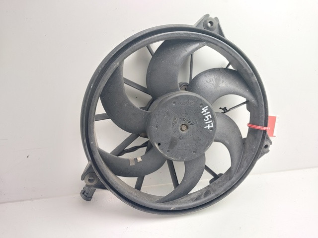 1494742080 Peugeot/Citroen