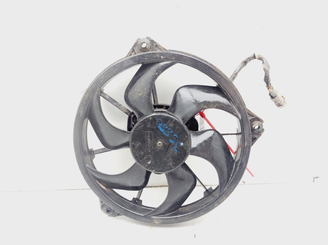 1494742080 Peugeot/Citroen