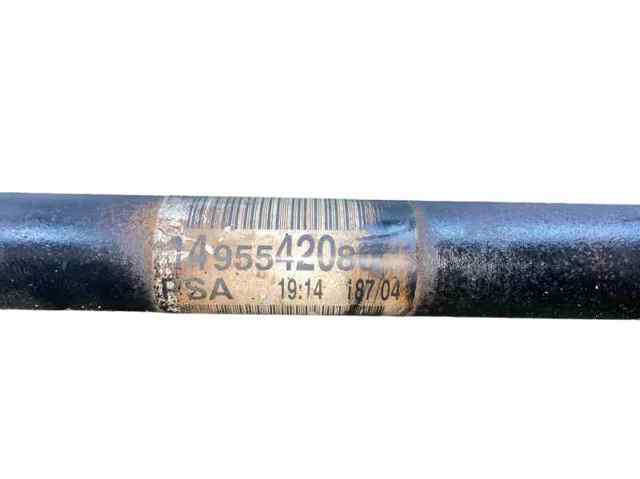 1495542080 Peugeot/Citroen
