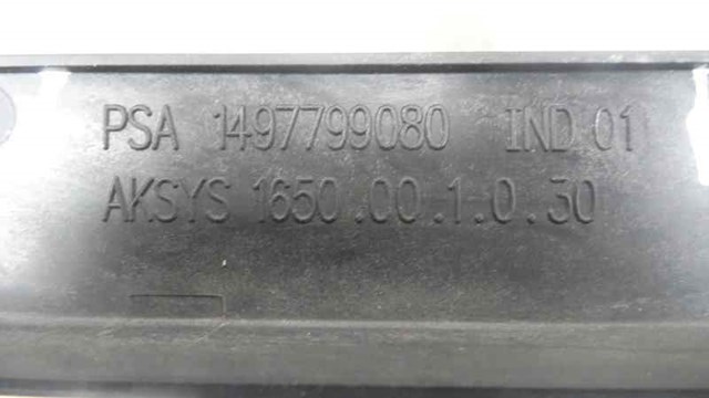 1497799080 Peugeot/Citroen